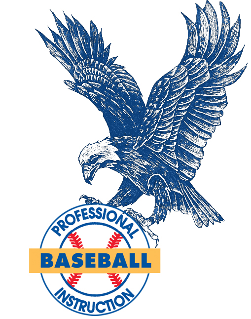 Professional Baseball Instruction of Illinois - Lake Barrington, Illinois